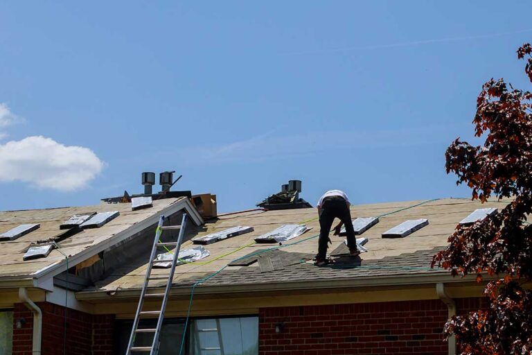 Homeowner examining roof shingles and gutters from the ground after seasonal weather.